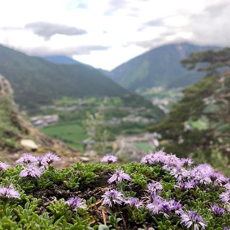 Maians - Peu Del Riu 122 - Vall D'Incles - Soldeu Eksteriør billede