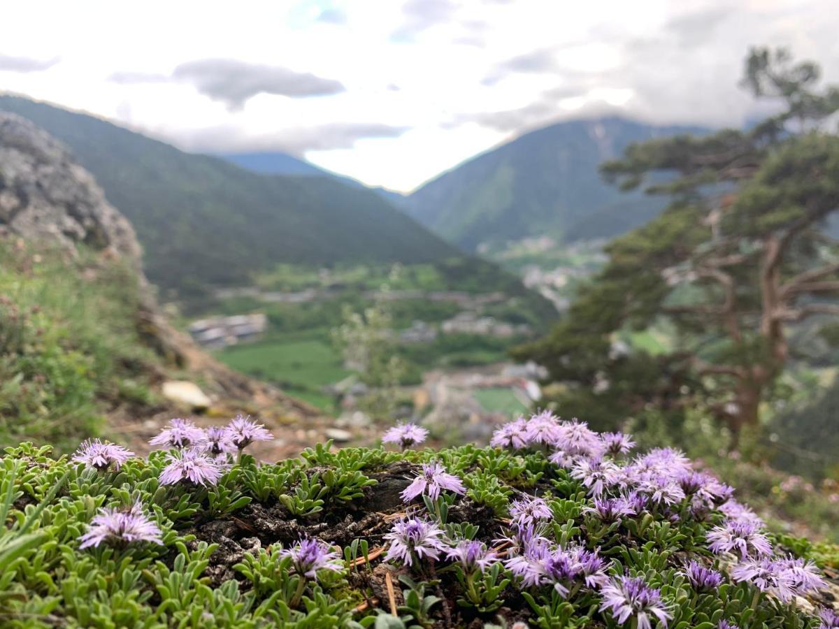 Maians - Peu Del Riu 122 - Vall D'Incles - Soldeu Eksteriør billede